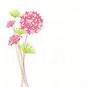 Meet your Posher, Jacquel